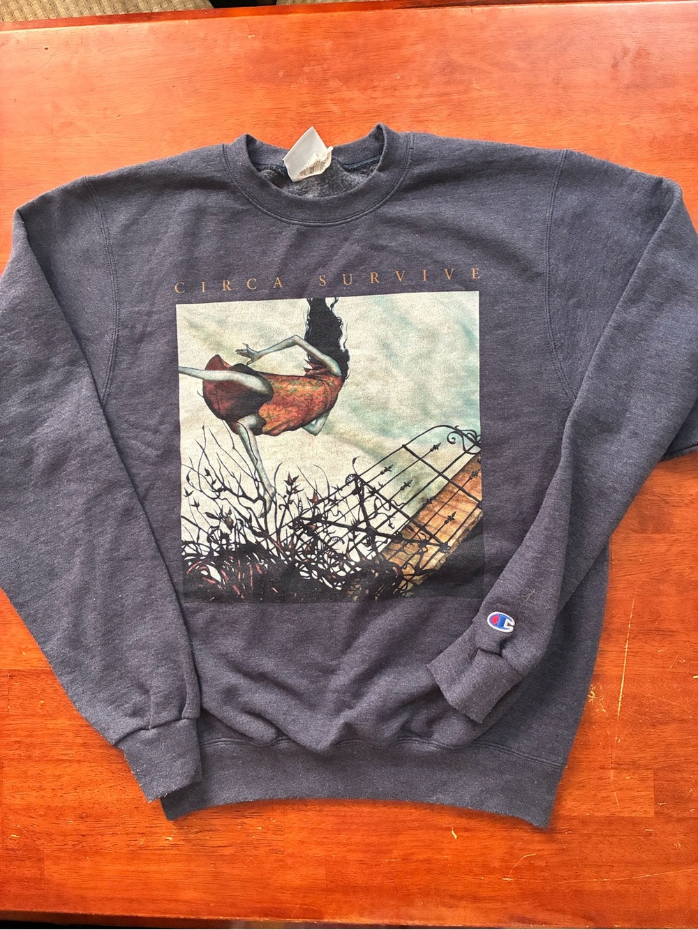 Circa Survive Juturna Champion Crewneck Sweatshirt Small Emo Post Hardcore